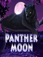 แนะนำ เล่น เกม ไฮโล สนุกสุดมันส์กับ NetEnt